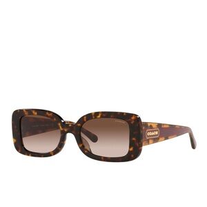 Sunglasses Coach HC 8336 U 512013 Dark Tortoise